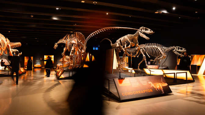 Visitantes en la muestra «Dinosaurios de la Patagonia» en CaixaForum Madrid © Máximo García. Fundación "la Caixa"