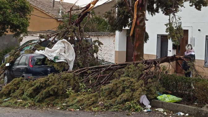 La borrasca 'Herminia' deja "devastado" el municipio de Torre de Juan Abad (Ciudad Real)